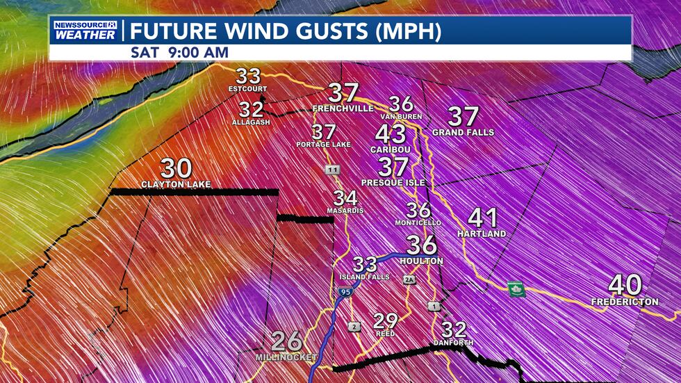 Future Wind Gusts